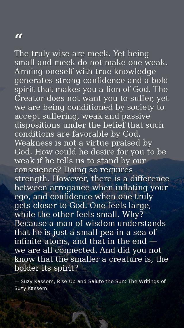 The truly wise are meek. Yet being small and meek do not make one weak. Arming oneself with true knowledge generates str — Suzy Kassem, Rise Up and Salute the Sun: The Writings of Suzy Kassem
