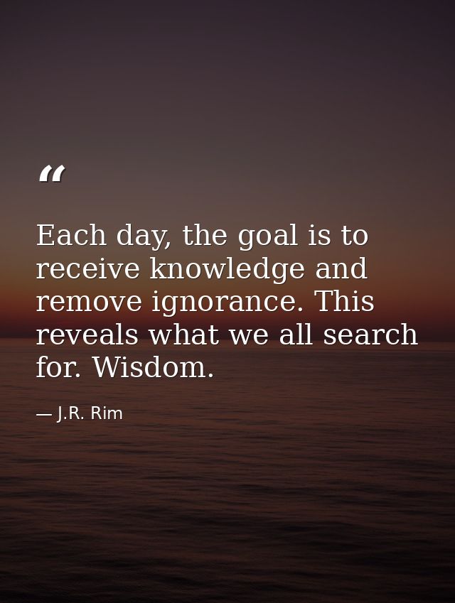 Each day, the goal is to receive knowledge and remove ignorance. This reveals what we all search for. Wisdom. — J.R. Rim