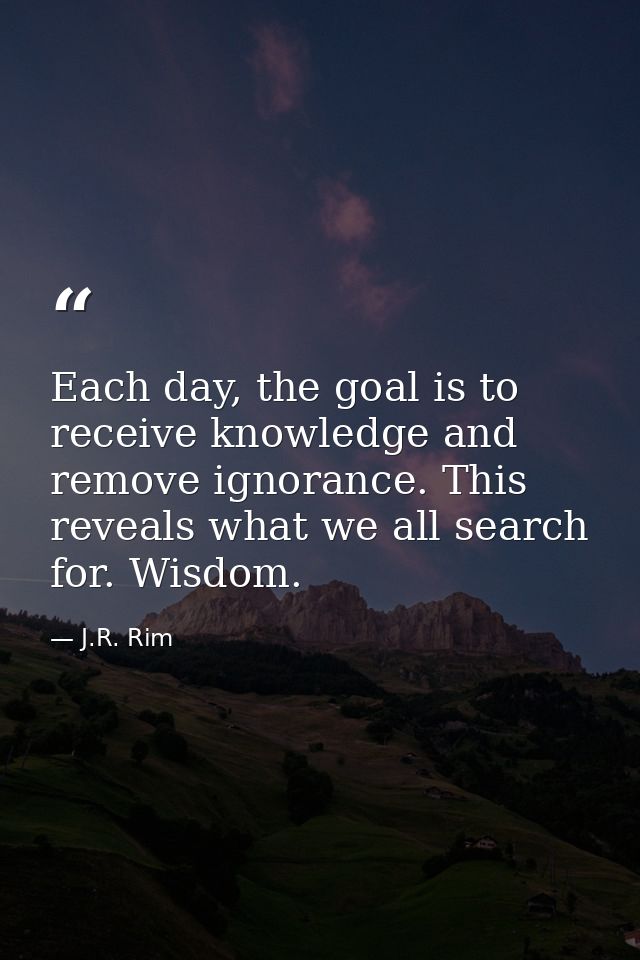 Each day, the goal is to receive knowledge and remove ignorance. This reveals what we all search for. Wisdom. — J.R. Rim