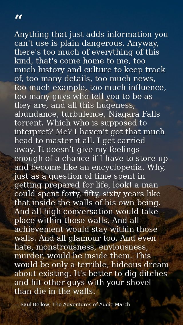 Anything that just adds information you can't use is plain dangerous. Anyway, there's too much of everything of this kin — Saul Bellow, The Adventures of Augie March