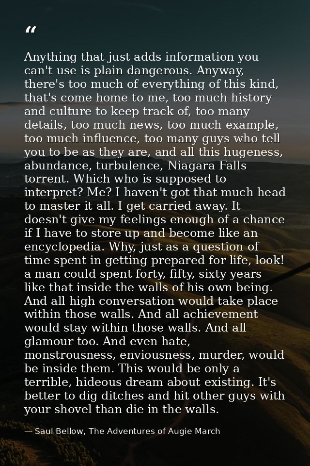 Anything that just adds information you can't use is plain dangerous. Anyway, there's too much of everything of this kin — Saul Bellow, The Adventures of Augie March