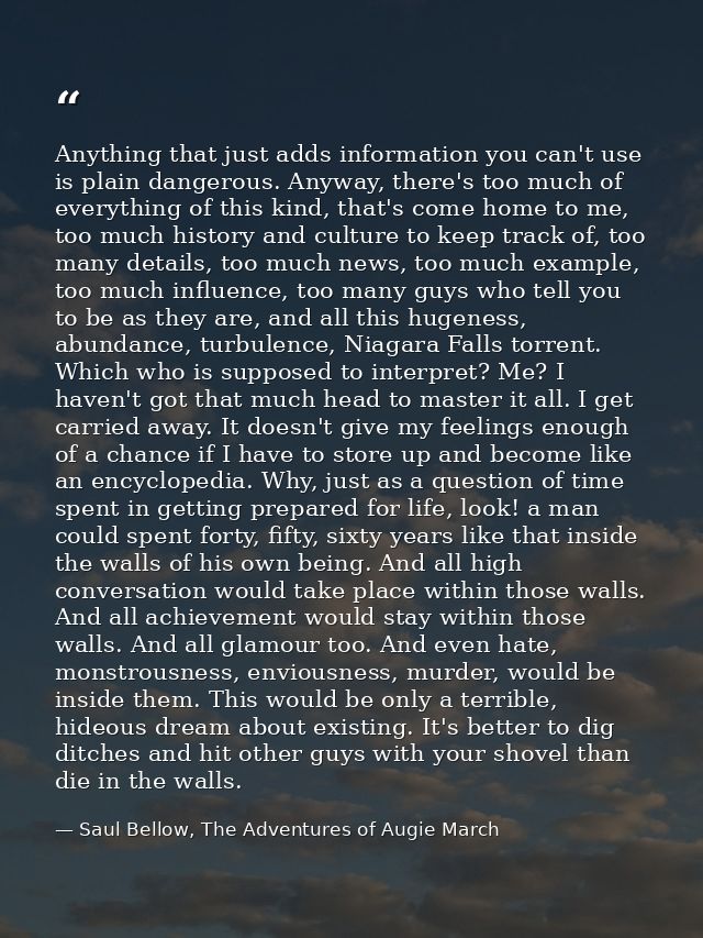 Anything that just adds information you can't use is plain dangerous. Anyway, there's too much of everything of this kin — Saul Bellow, The Adventures of Augie March