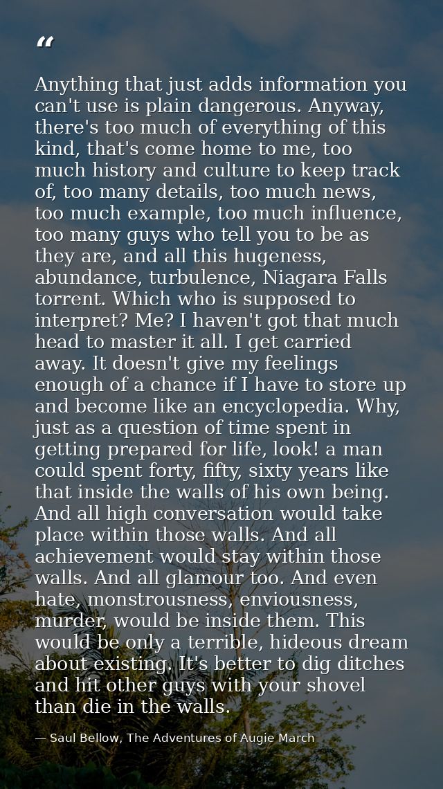 Anything that just adds information you can't use is plain dangerous. Anyway, there's too much of everything of this kin — Saul Bellow, The Adventures of Augie March
