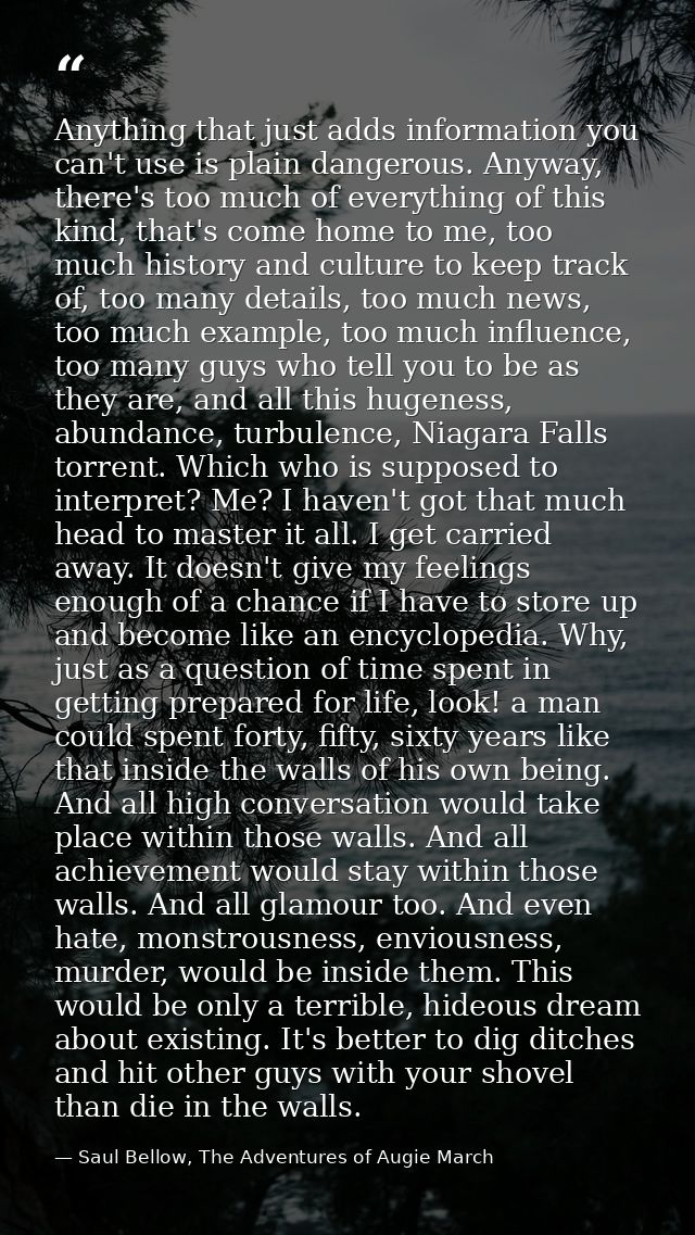 Anything that just adds information you can't use is plain dangerous. Anyway, there's too much of everything of this kin — Saul Bellow, The Adventures of Augie March