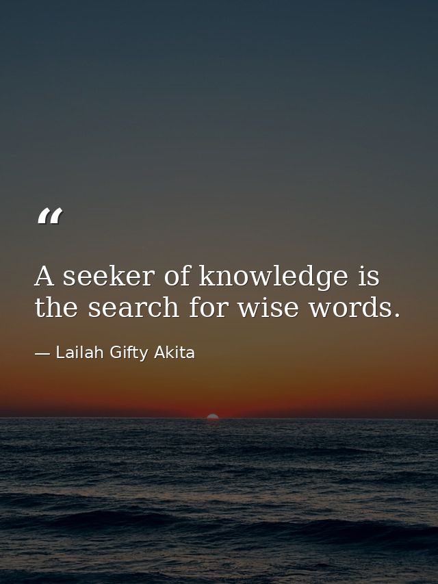 A seeker of knowledge is the search for wise words. — Lailah Gifty Akita