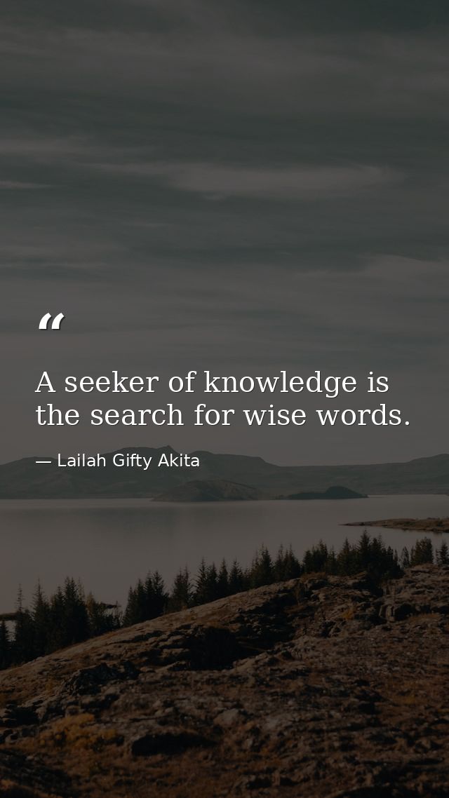 A seeker of knowledge is the search for wise words. — Lailah Gifty Akita
