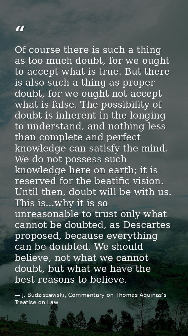 Of course there is such a thing as too much doubt, for we ought to accept what is true. But there is also such a thing a — J. Budziszewski, Commentary on Thomas Aquinas's Treatise on Law