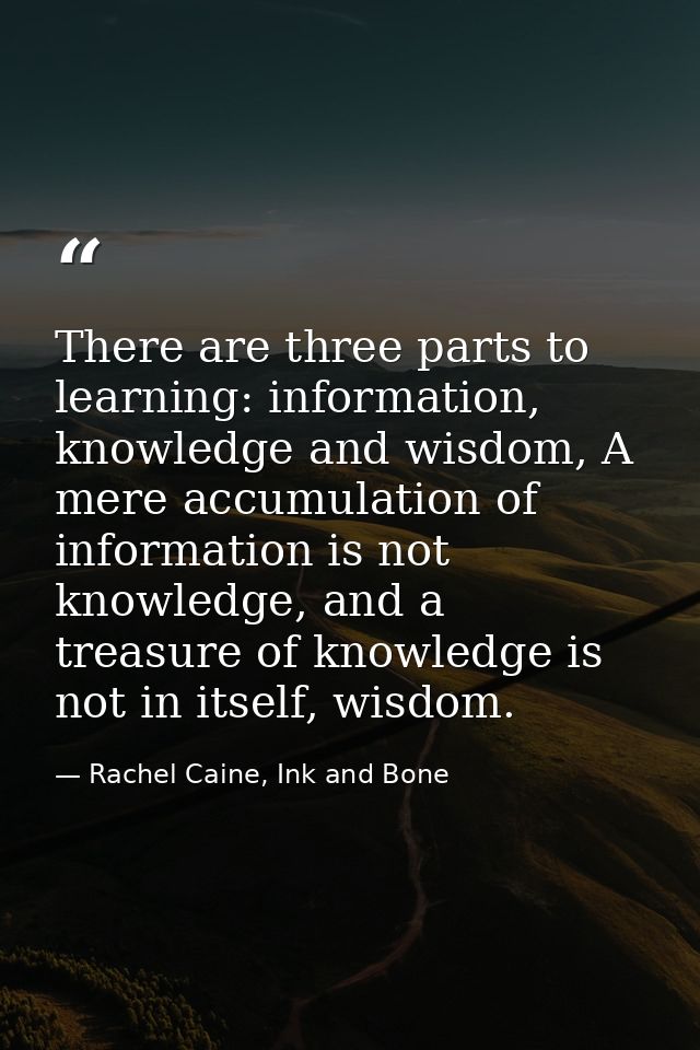 There are three parts to learning: information, knowledge and wisdom, A mere accumulation of information is not knowledg — Rachel Caine, Ink and Bone