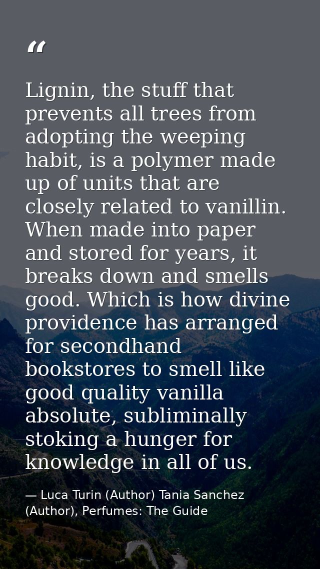 Lignin, the stuff that prevents all trees from adopting the weeping habit, is a polymer made up of units that are closel — Luca Turin (Author) Tania Sanchez (Author), Perfumes: The Guide