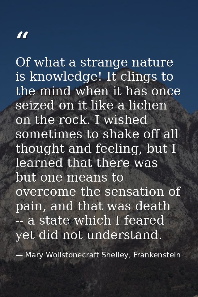 Of what a strange nature is knowledge! It clings to the mind when it has once seized on it like a lichen on the rock. I  — Mary Wollstonecraft Shelley, Frankenstein