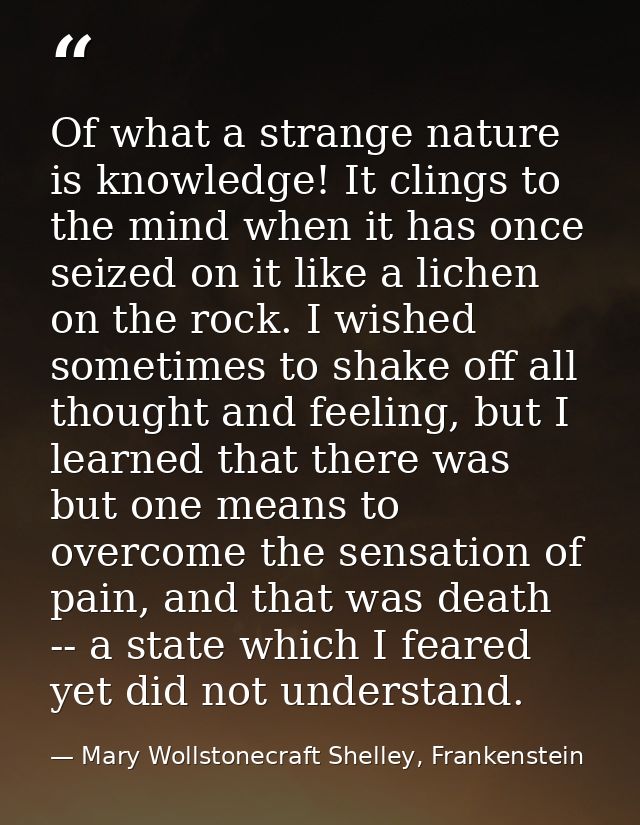Of what a strange nature is knowledge! It clings to the mind when it has once seized on it like a lichen on the rock. I  — Mary Wollstonecraft Shelley, Frankenstein