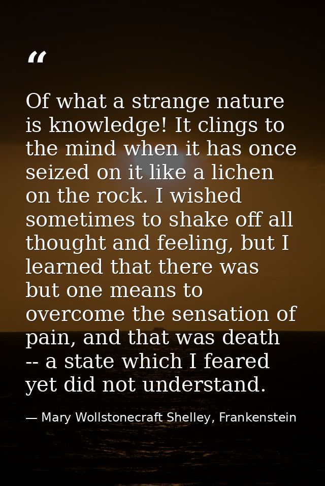 Of what a strange nature is knowledge! It clings to the mind when it has once seized on it like a lichen on the rock. I  — Mary Wollstonecraft Shelley, Frankenstein