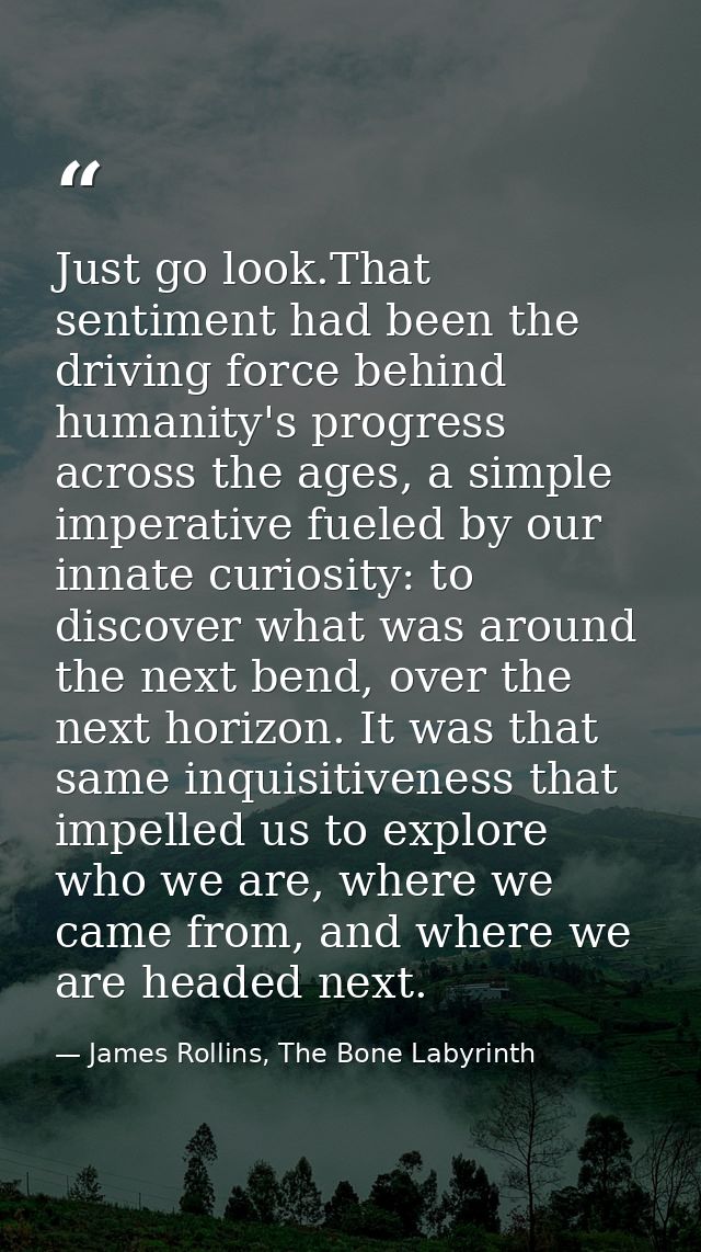 Just go look.That sentiment had been the driving force behind humanity's progress across the ages, a simple imperative f — James Rollins, The Bone Labyrinth