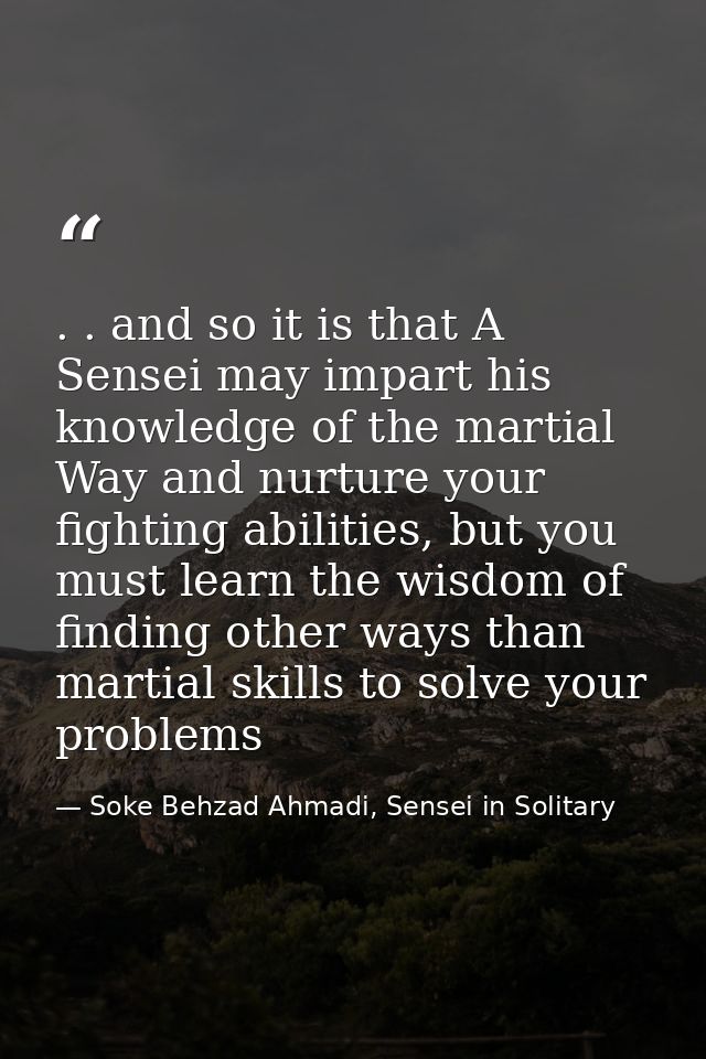 . . and so it is that A Sensei may impart his knowledge of the martial Way and nurture your fighting abilities, but you  — Soke Behzad Ahmadi, Sensei in Solitary