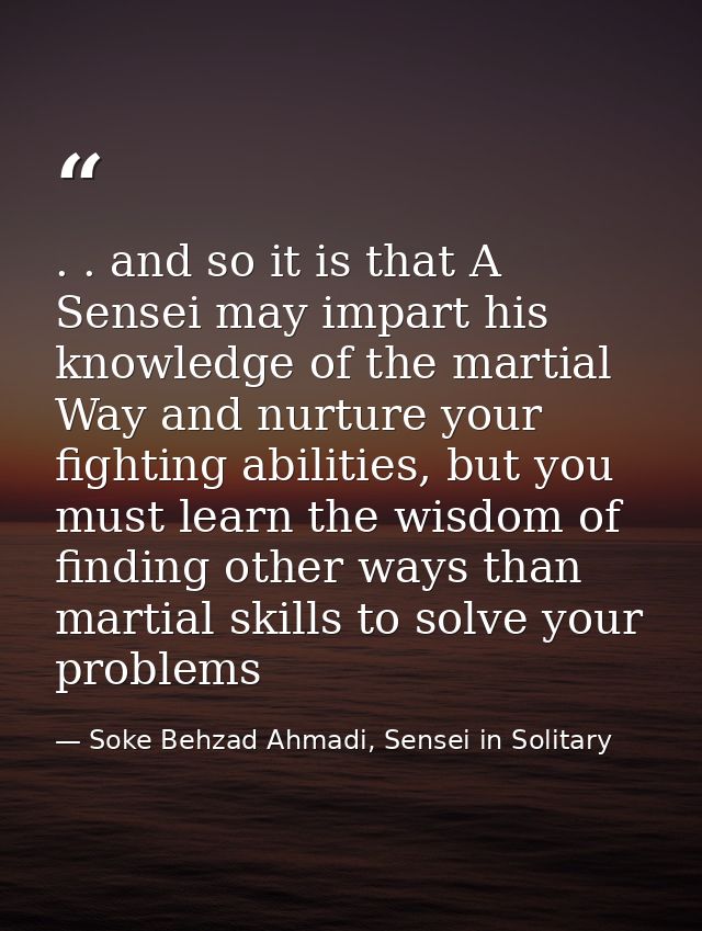 . . and so it is that A Sensei may impart his knowledge of the martial Way and nurture your fighting abilities, but you  — Soke Behzad Ahmadi, Sensei in Solitary