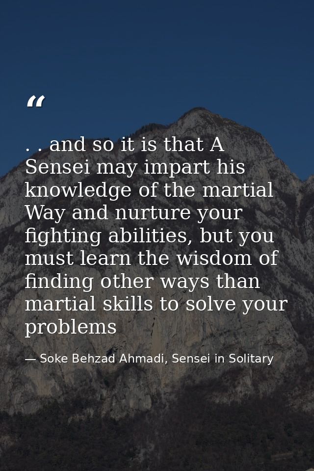 . . and so it is that A Sensei may impart his knowledge of the martial Way and nurture your fighting abilities, but you  — Soke Behzad Ahmadi, Sensei in Solitary