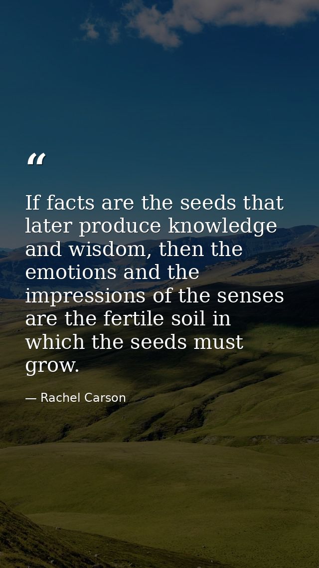 If facts are the seeds that later produce knowledge and wisdom, then the emotions and the impressions of the senses are  — Rachel Carson