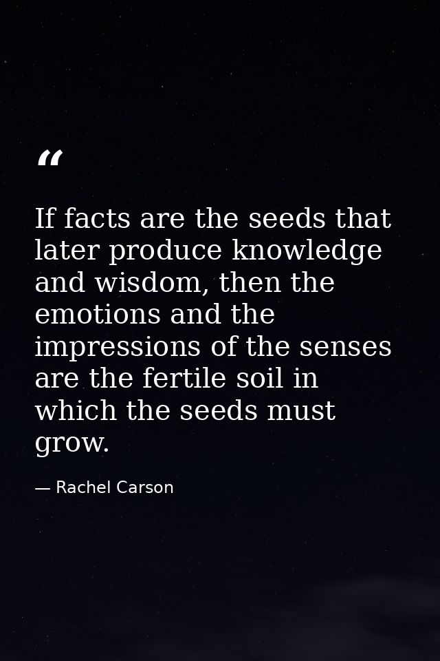 If facts are the seeds that later produce knowledge and wisdom, then the emotions and the impressions of the senses are  — Rachel Carson