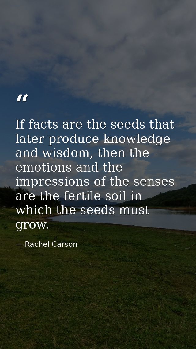 If facts are the seeds that later produce knowledge and wisdom, then the emotions and the impressions of the senses are  — Rachel Carson