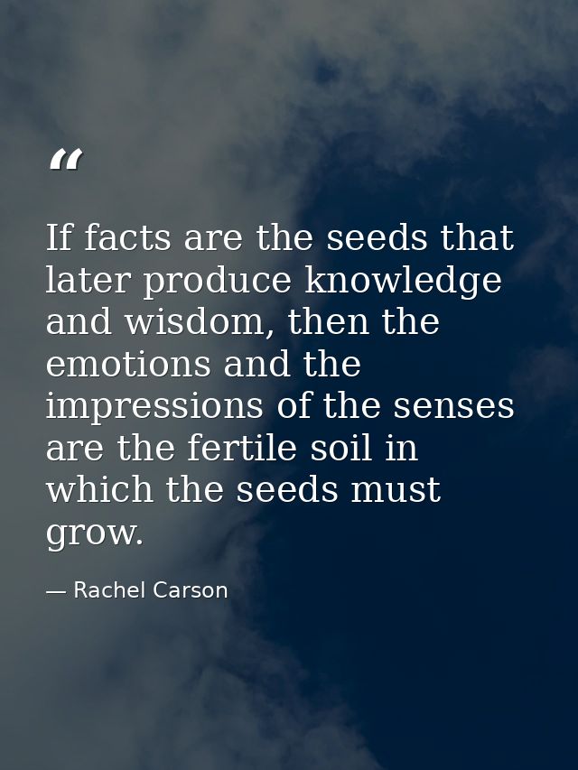 If facts are the seeds that later produce knowledge and wisdom, then the emotions and the impressions of the senses are  — Rachel Carson