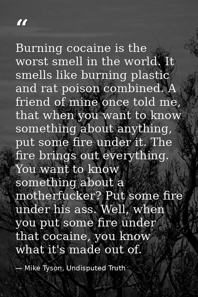 Burning cocaine is the worst smell in the world. It smells like burning plastic and rat poison combined. A friend of min — Mike Tyson, Undisputed Truth