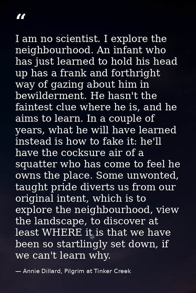 I am no scientist. I explore the neighbourhood. An infant who has just learned to hold his head up has a frank and forth — Annie Dillard, Pilgrim at Tinker Creek