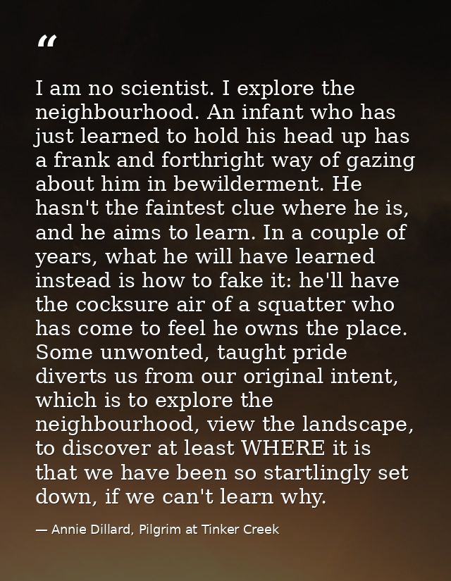 I am no scientist. I explore the neighbourhood. An infant who has just learned to hold his head up has a frank and forth — Annie Dillard, Pilgrim at Tinker Creek