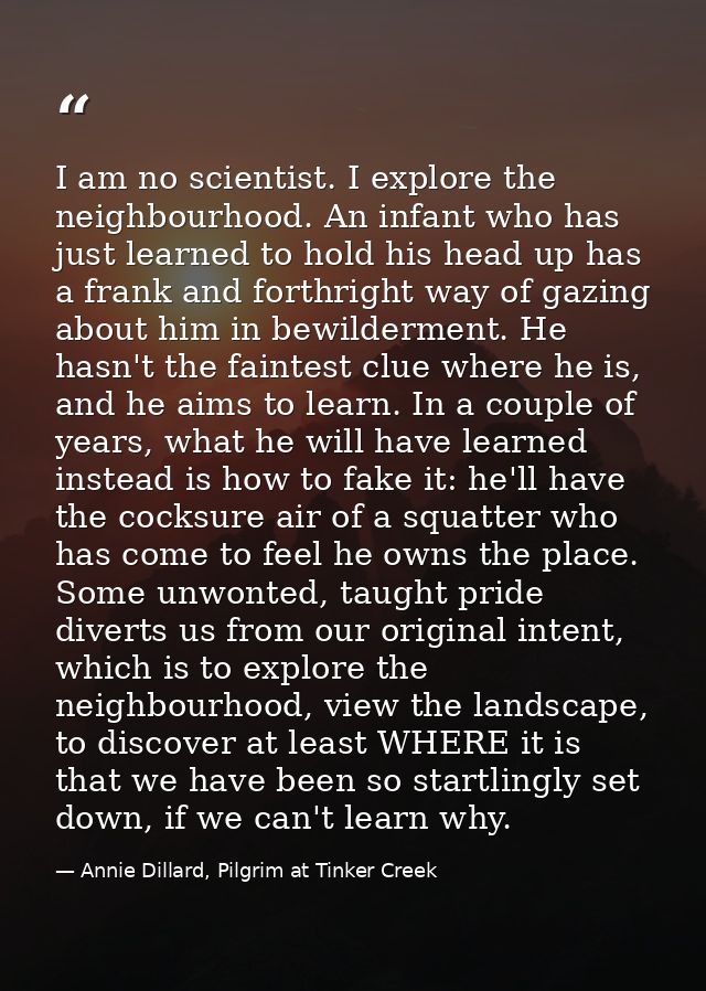 I am no scientist. I explore the neighbourhood. An infant who has just learned to hold his head up has a frank and forth — Annie Dillard, Pilgrim at Tinker Creek