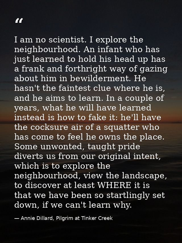 I am no scientist. I explore the neighbourhood. An infant who has just learned to hold his head up has a frank and forth — Annie Dillard, Pilgrim at Tinker Creek