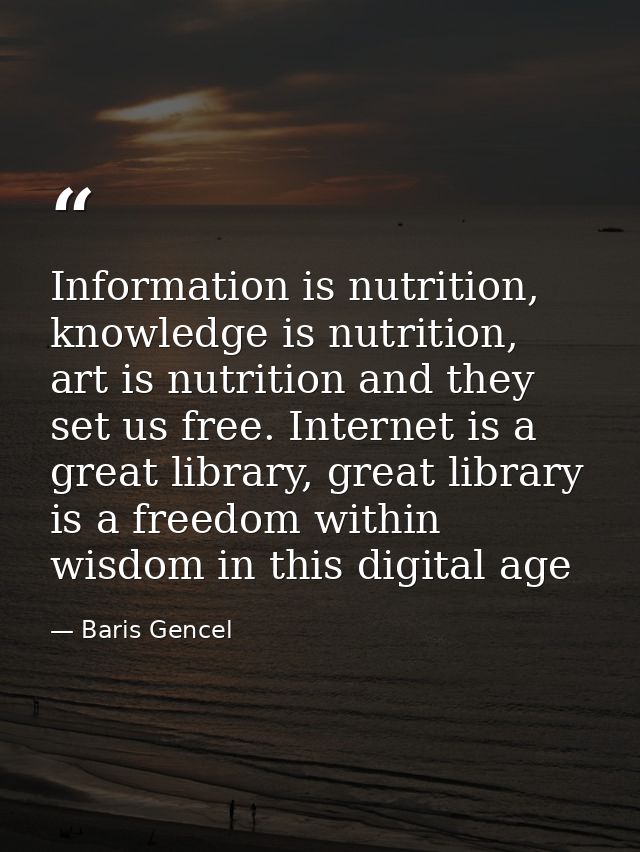 Information is nutrition, knowledge is nutrition, art is nutrition and they set us free. Internet is a great library, gr — Baris Gencel