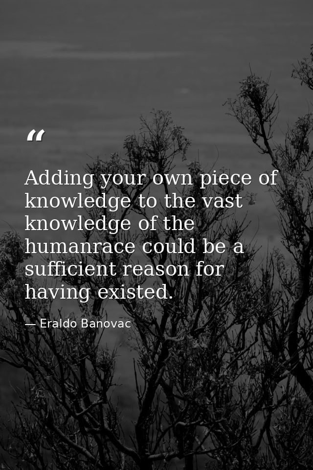 Adding your own piece of knowledge to the vast knowledge of the humanrace could be a sufficient reason for having existe — Eraldo Banovac