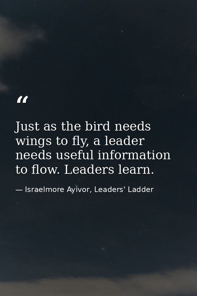 Just as the bird needs wings to fly, a leader needs useful information to flow. Leaders learn. — Israelmore Ayivor, Leaders' Ladder