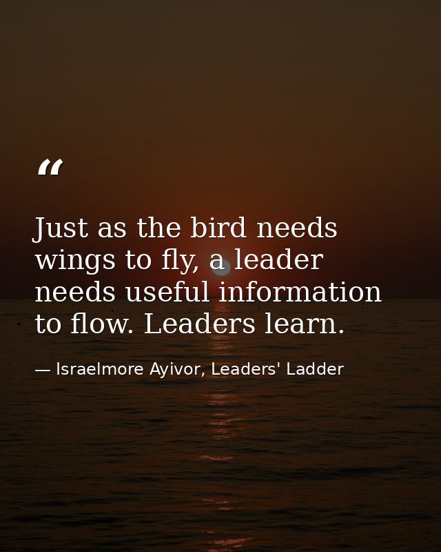 Just as the bird needs wings to fly, a leader needs useful information to flow. Leaders learn. — Israelmore Ayivor, Leaders' Ladder