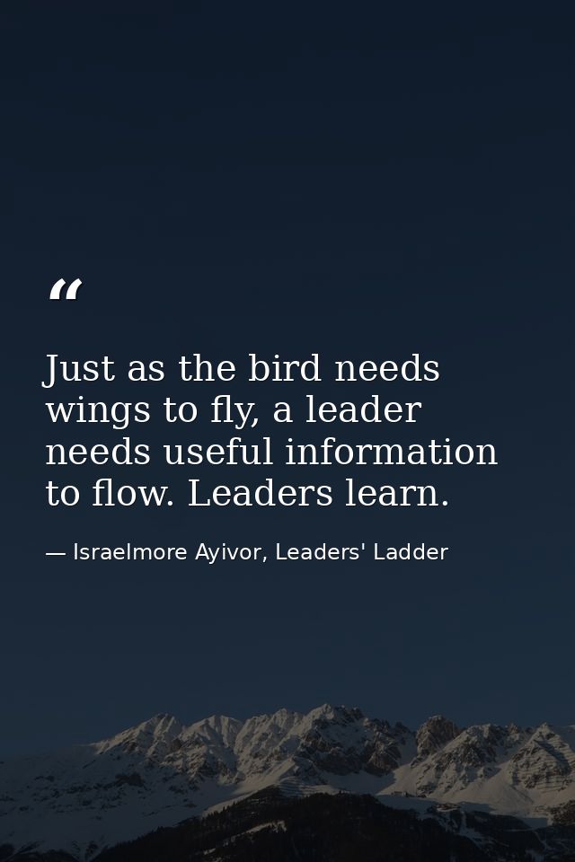 Just as the bird needs wings to fly, a leader needs useful information to flow. Leaders learn. — Israelmore Ayivor, Leaders' Ladder