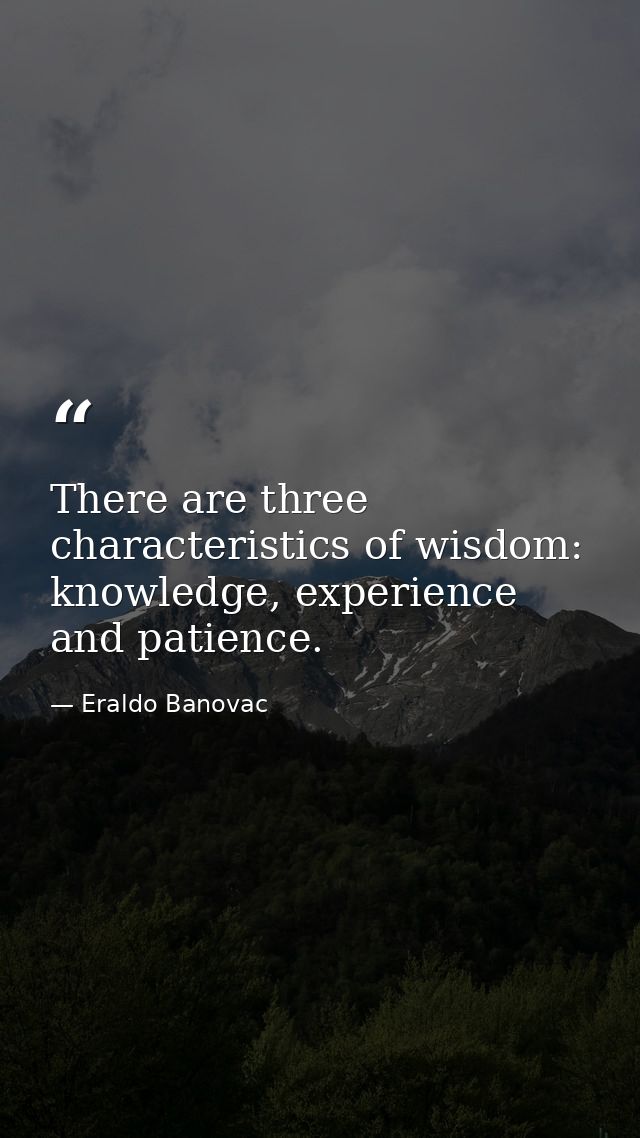 There are three characteristics of wisdom: knowledge, experience and patience. — Eraldo Banovac