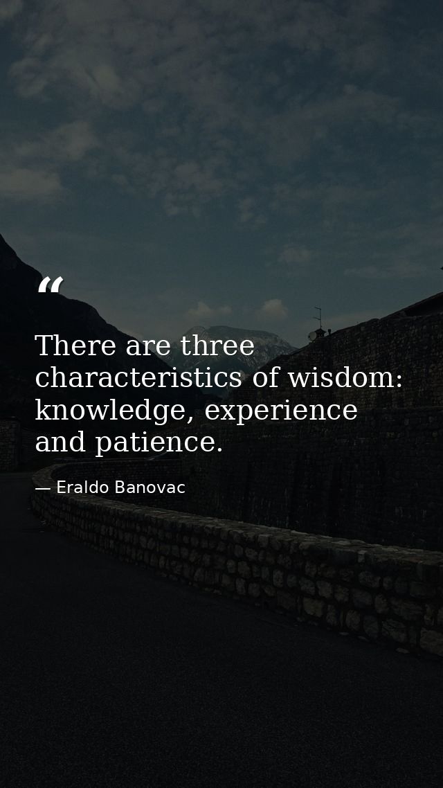 There are three characteristics of wisdom: knowledge, experience and patience. — Eraldo Banovac