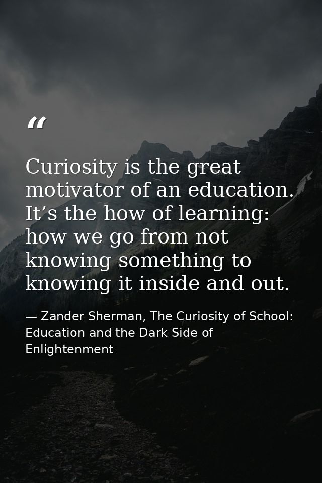Curiosity is the great motivator of an education. It’s the how of learning: how we go from not knowing something to know — Zander Sherman, The Curiosity of School: Education and the Dark Side of Enlightenment