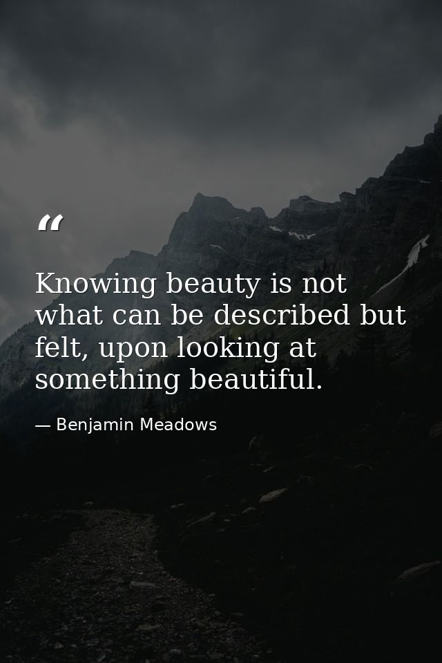 Knowing beauty is not what can be described but felt, upon looking at something beautiful. — Benjamin Meadows