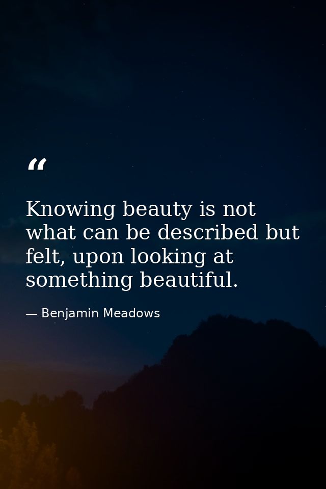 Knowing beauty is not what can be described but felt, upon looking at something beautiful. — Benjamin Meadows