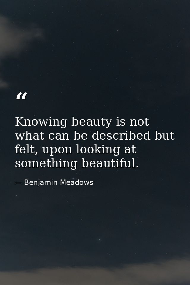 Knowing beauty is not what can be described but felt, upon looking at something beautiful. — Benjamin Meadows
