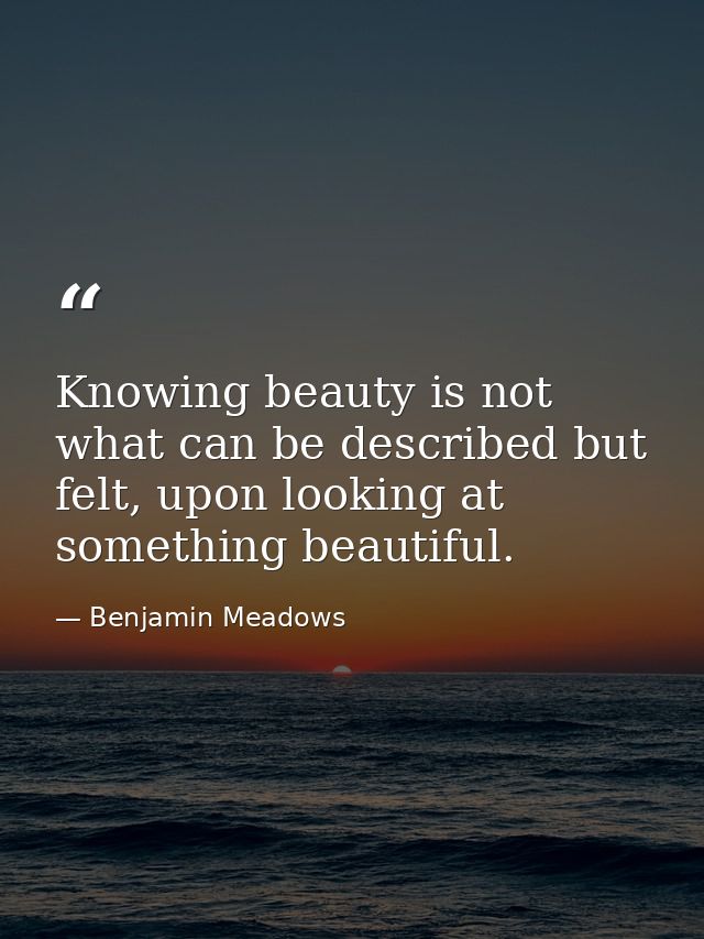 Knowing beauty is not what can be described but felt, upon looking at something beautiful. — Benjamin Meadows