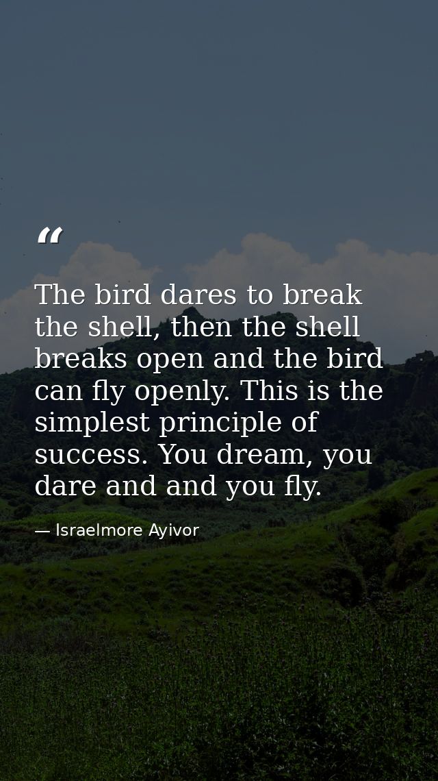 The bird dares to break the shell, then the shell breaks open and the bird can fly openly. This is the simplest principl — Israelmore Ayivor