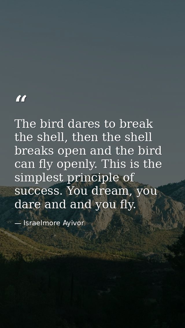 The bird dares to break the shell, then the shell breaks open and the bird can fly openly. This is the simplest principl — Israelmore Ayivor