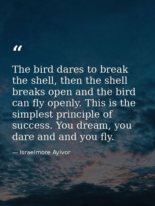 The bird dares to break the shell, then the shell breaks open and the bird can fly openly. This is the simplest principl — Israelmore Ayivor
