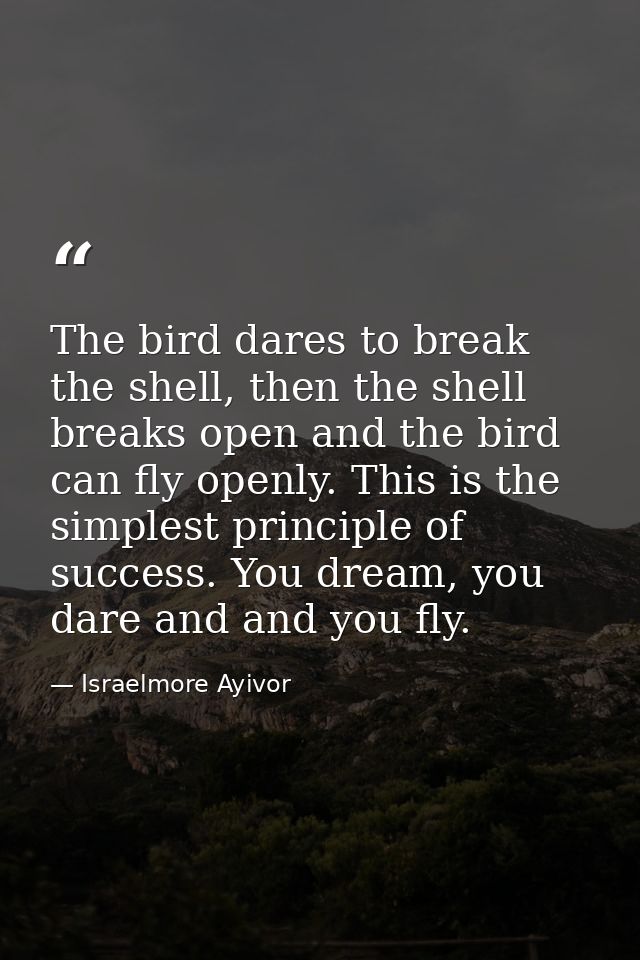 The bird dares to break the shell, then the shell breaks open and the bird can fly openly. This is the simplest principl — Israelmore Ayivor