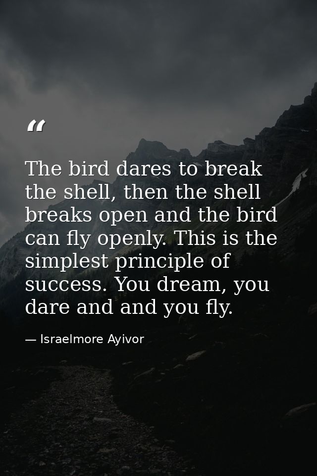 The bird dares to break the shell, then the shell breaks open and the bird can fly openly. This is the simplest principl — Israelmore Ayivor