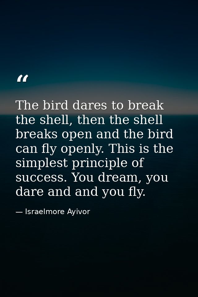 The bird dares to break the shell, then the shell breaks open and the bird can fly openly. This is the simplest principl — Israelmore Ayivor
