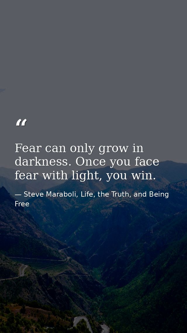 Fear can only grow in darkness. Once you face fear with light, you win. — Steve Maraboli, Life, the Truth, and Being Free