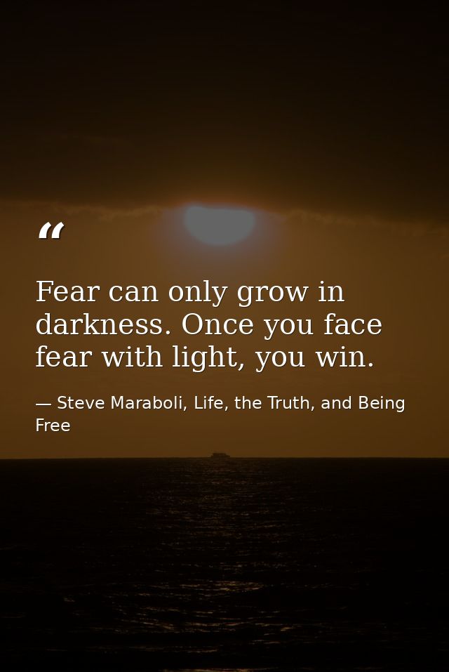 Fear can only grow in darkness. Once you face fear with light, you win. — Steve Maraboli, Life, the Truth, and Being Free