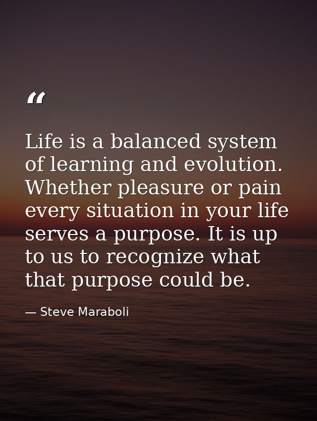Life is a balanced system of learning and evolution. Whether pleasure or pain every situation in your life serves a purp — Steve Maraboli